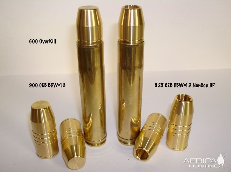 .600 Overkill Cartridges