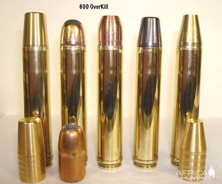 .600 Overkill Cartridges