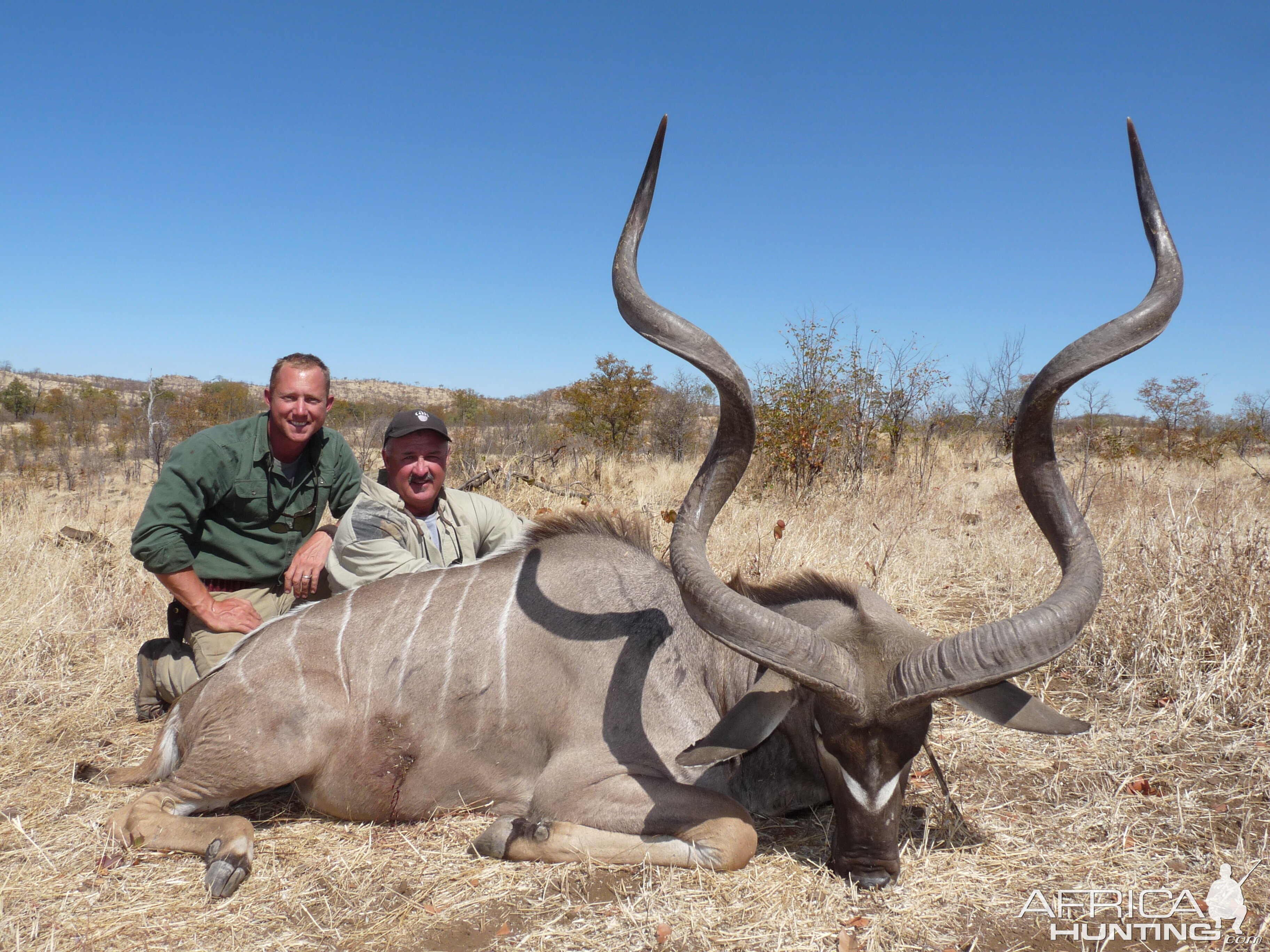 61.5" Kudu