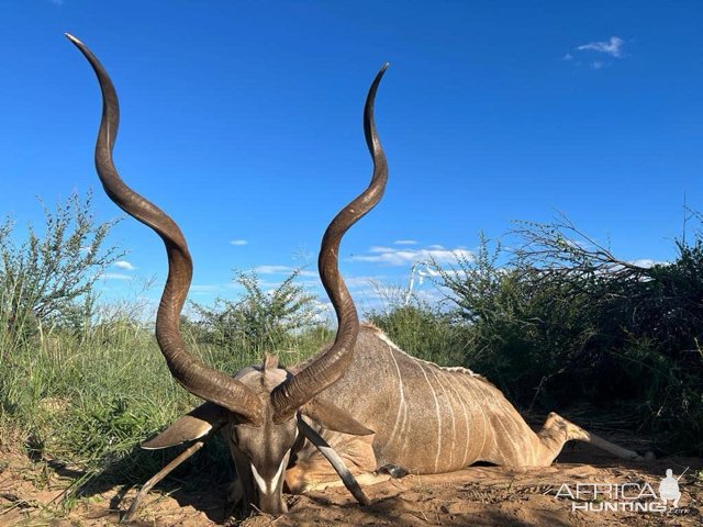 62 Inch Kudu Hunt Botswana