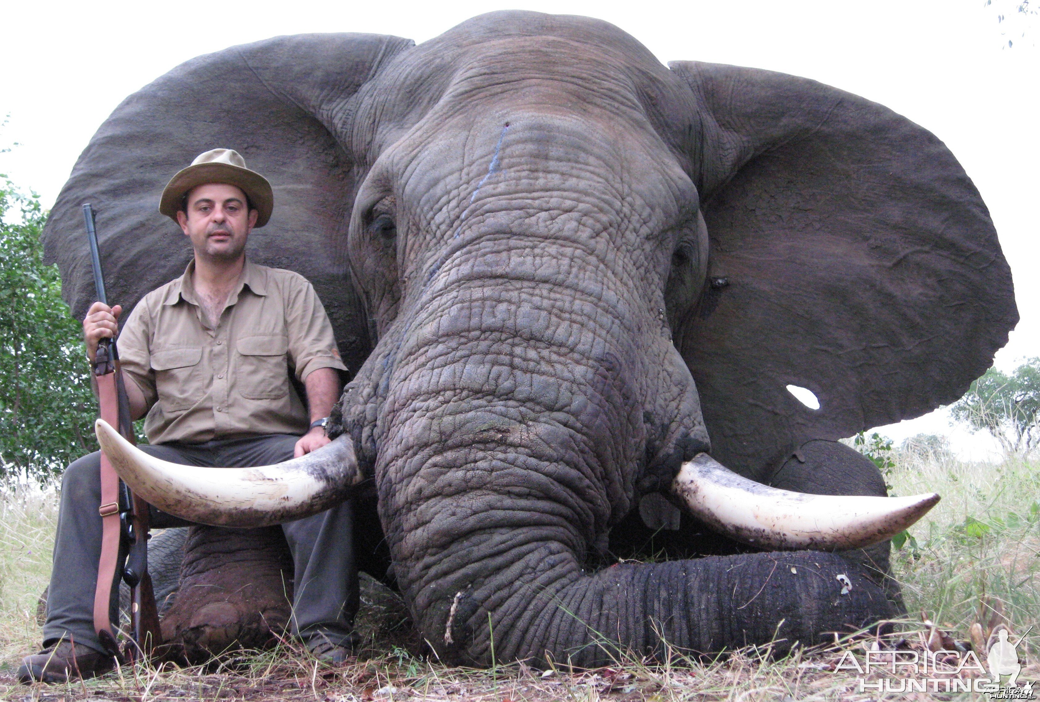 62 pounder- Zimbabwe