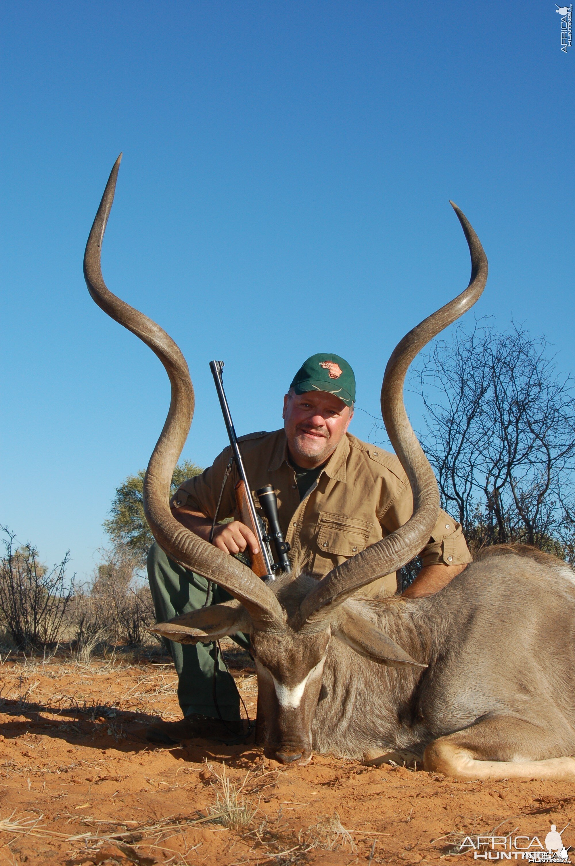 63 5/8" Kudu