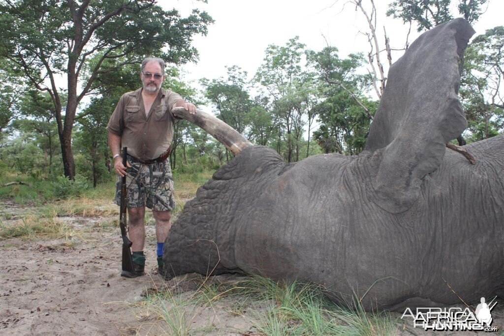 71 lbs Elephant hunted in the Kavango Namibia