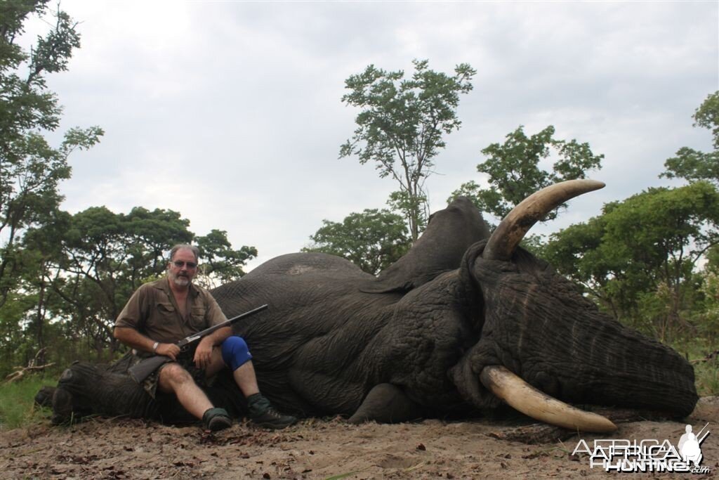 71 lbs Elephant hunted in the Kavango Namibia