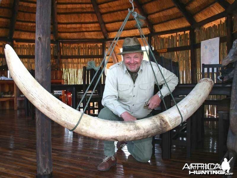 78 pound tusker - Johan Calitz Safaris in Botswana