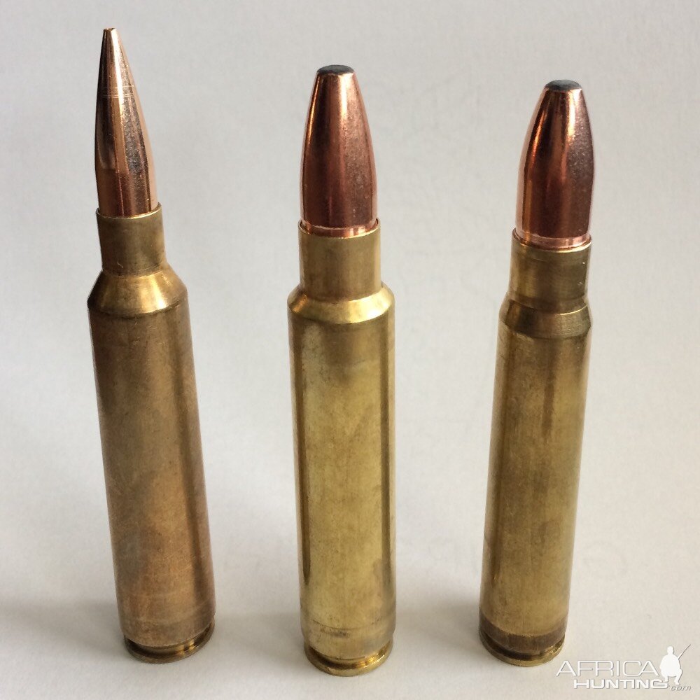 7x66SE vH - 9,5x66SE vH - 9,3x64 Brenneke