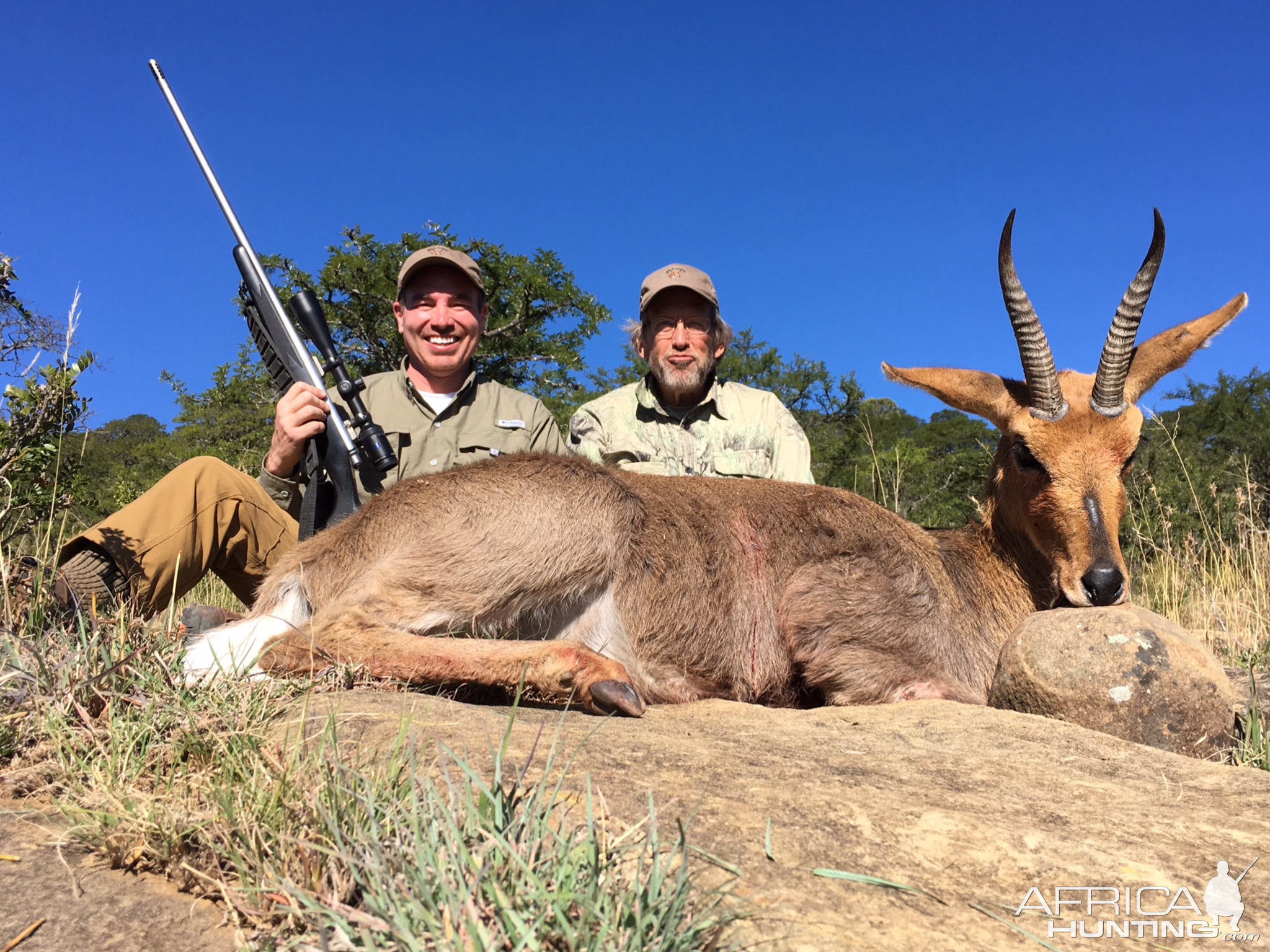 8 1/2 Inches Mountain Reedbuck Hunting South Africa