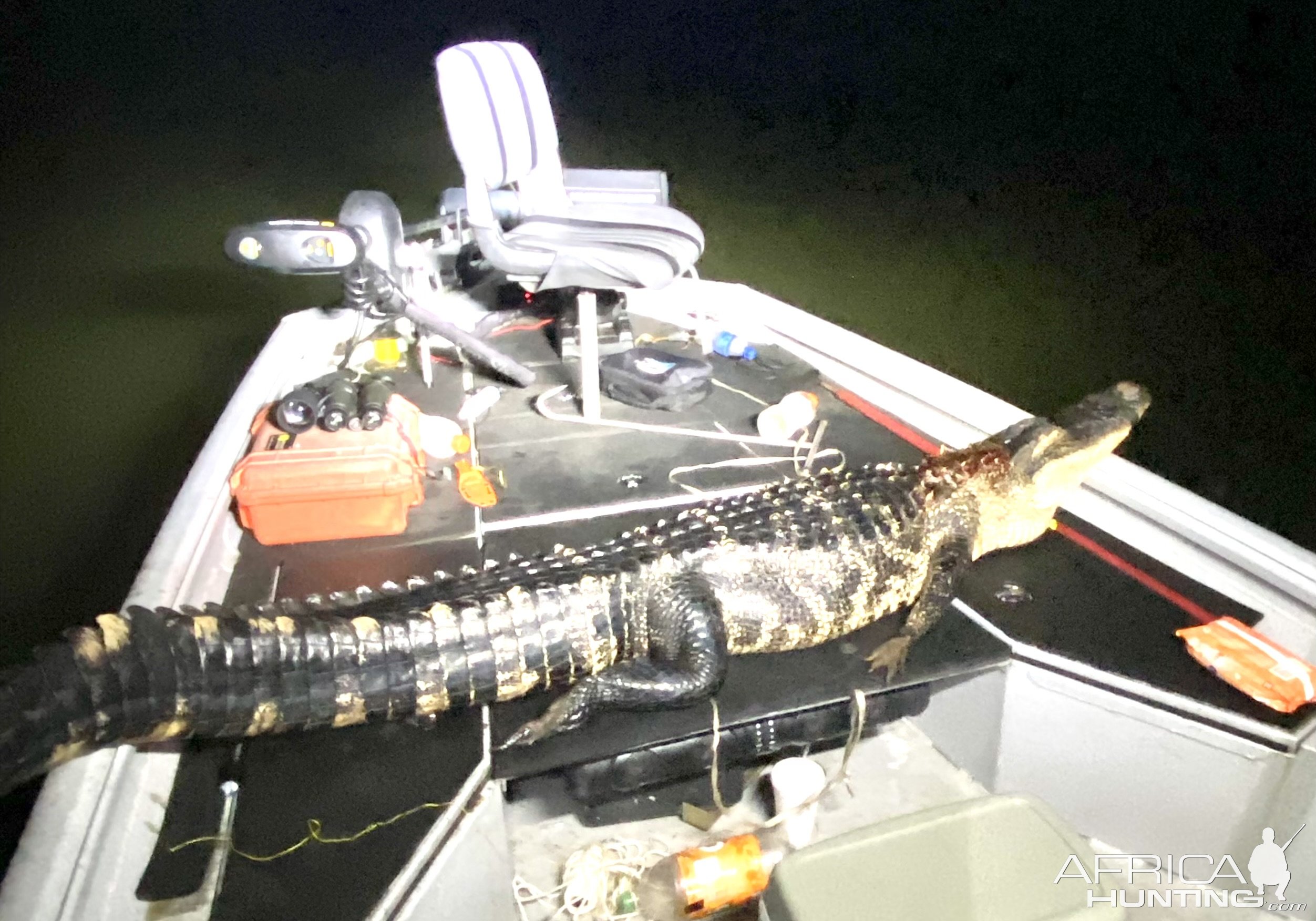 8 Feet & 8 Inches Alligator Hunt