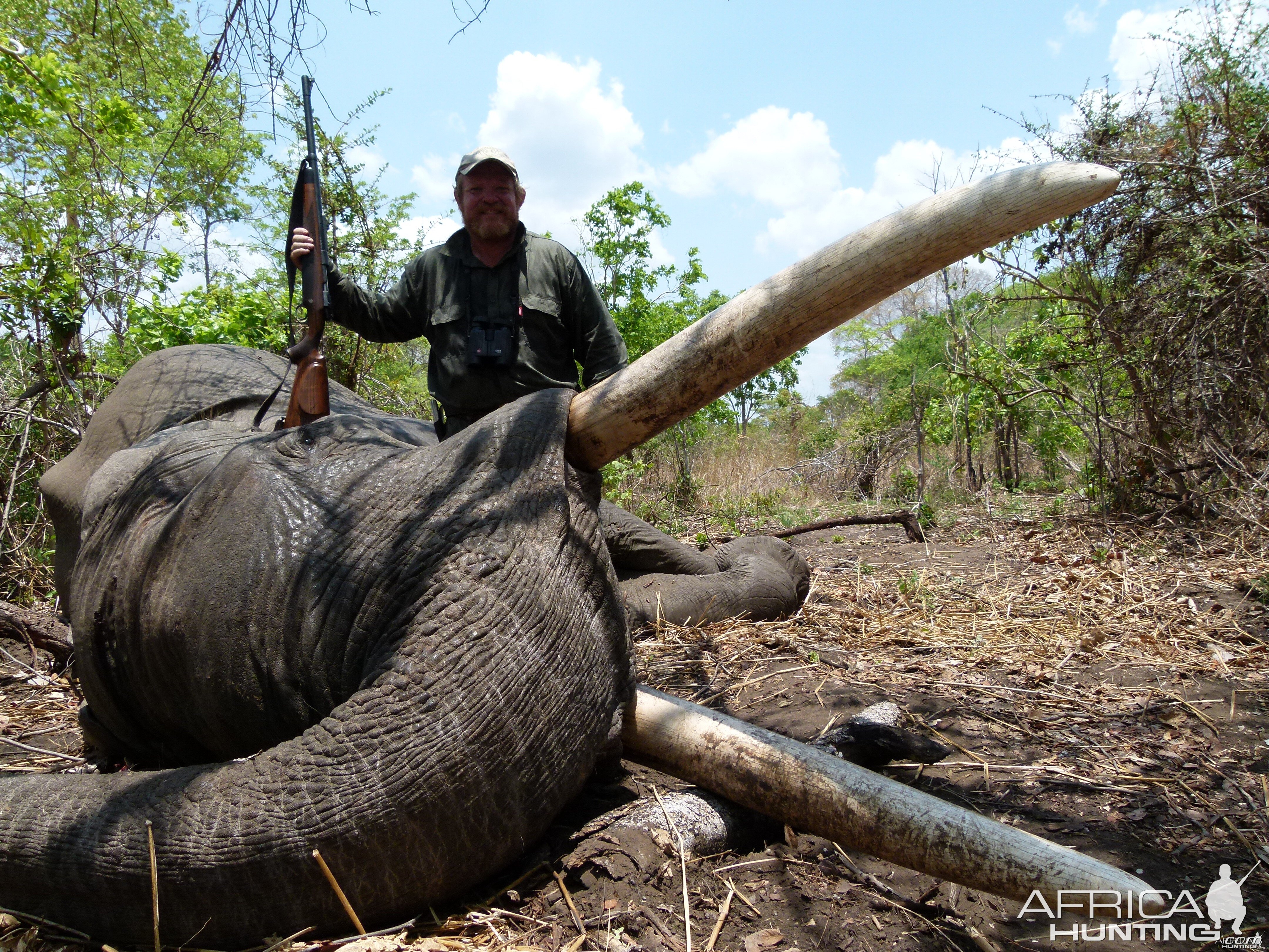 88 lbs Mozambique Elephant