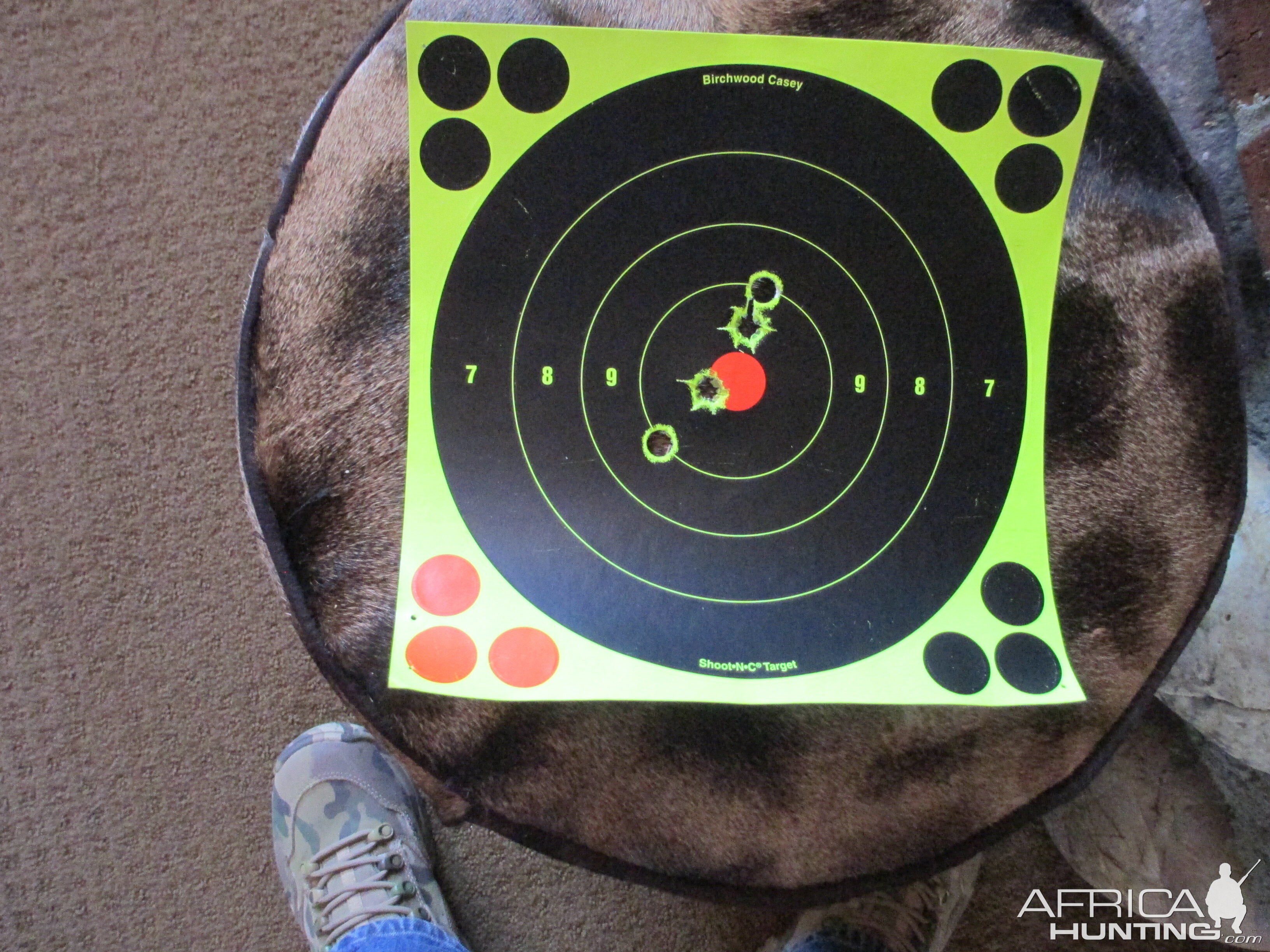 9.3x74r Rifle Range Shots with Trijicon srs1