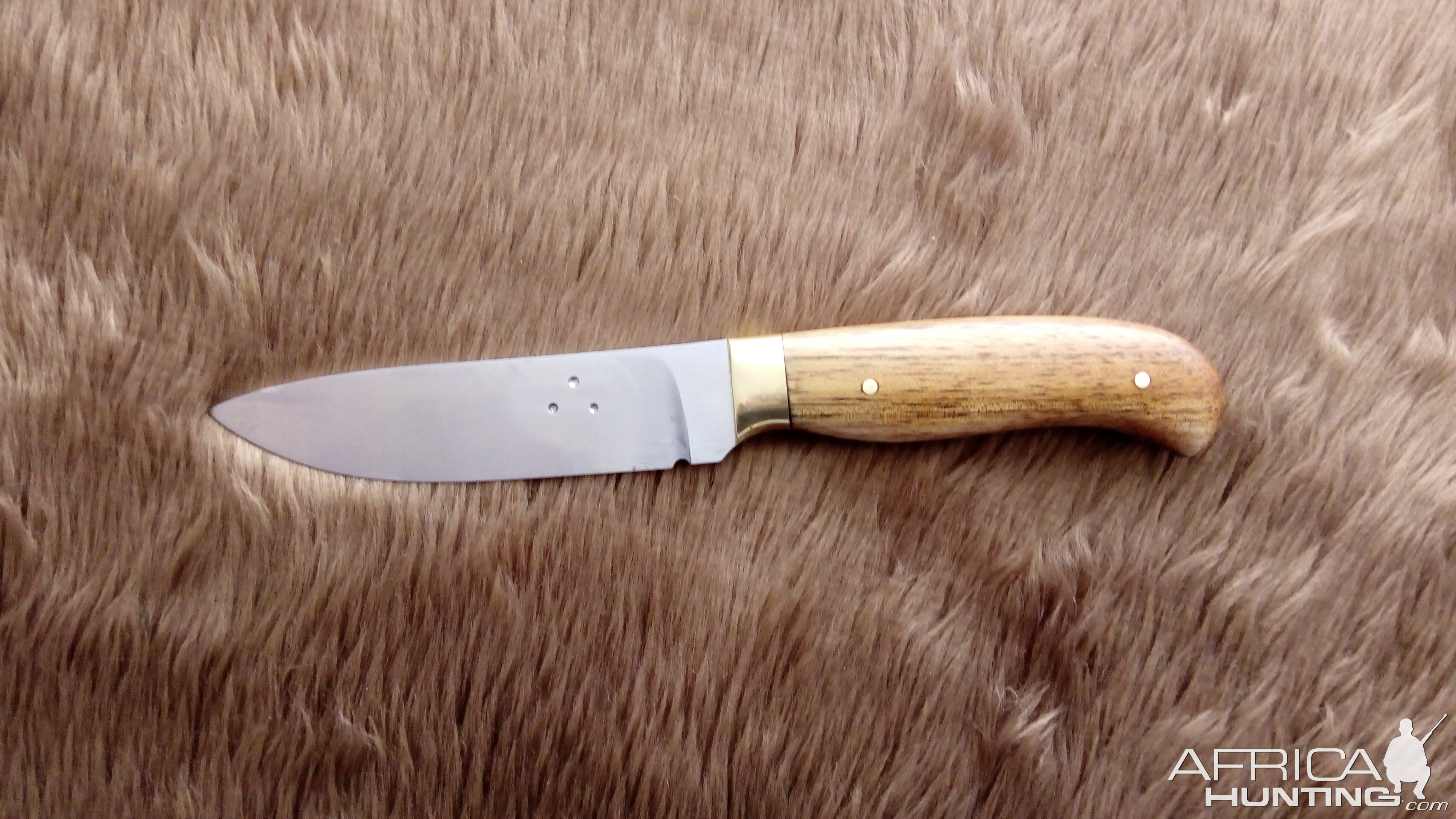 A 1084 Hunter Skinner Knife  Brass & Accacia