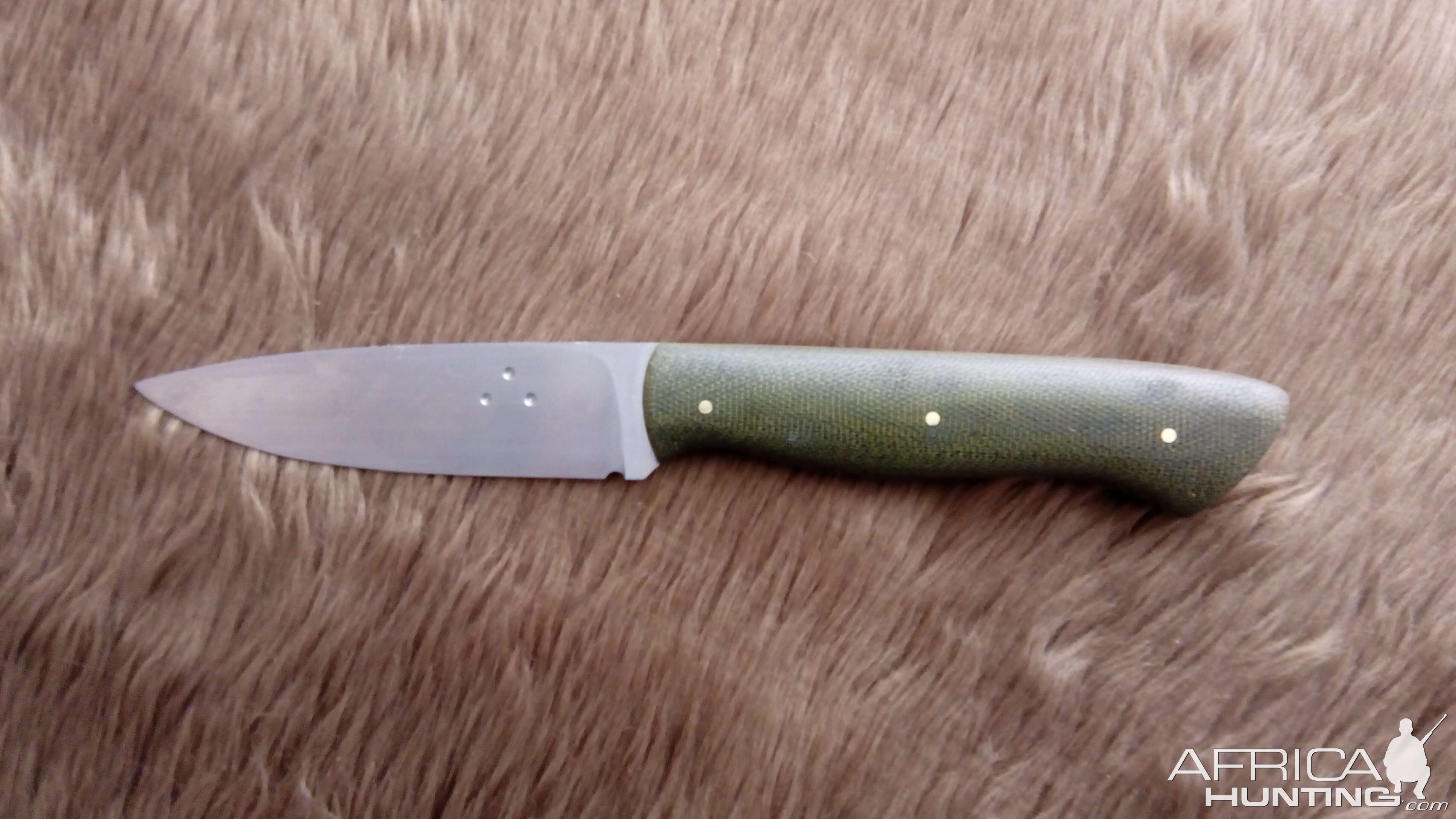 A 12C27 Light Hunter Knife  with OD Micarta