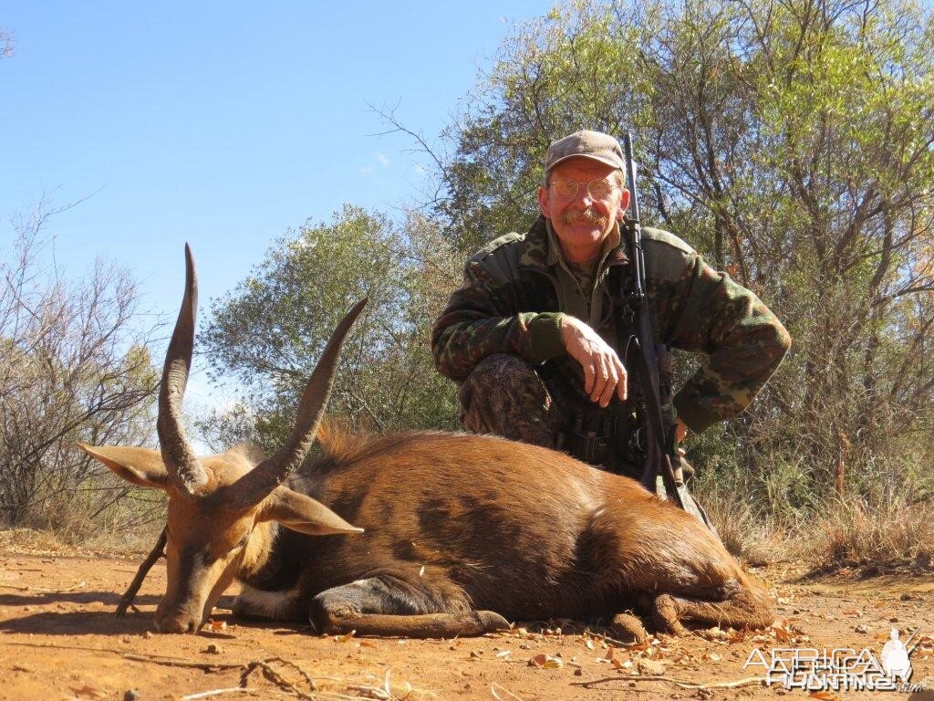 A good Bushbuck from Bos en Dal