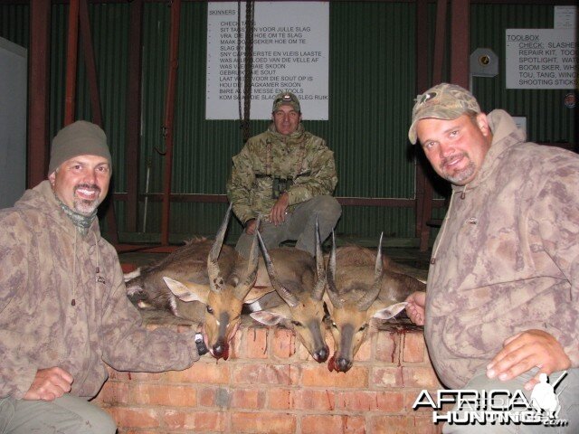 A good evening hunting Bushbuck