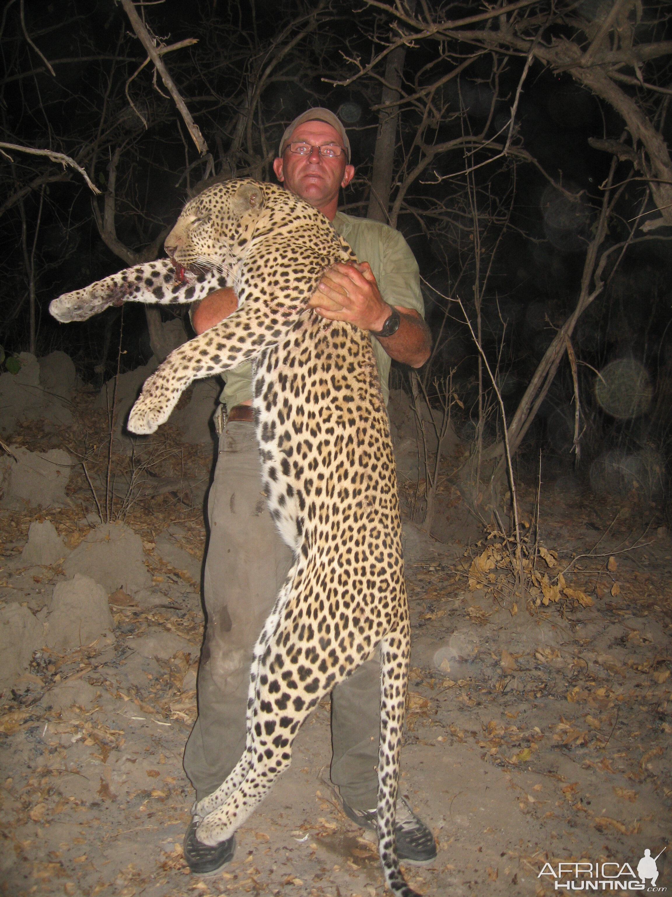 A good Leopard over 7 feet hunted in Tanzania