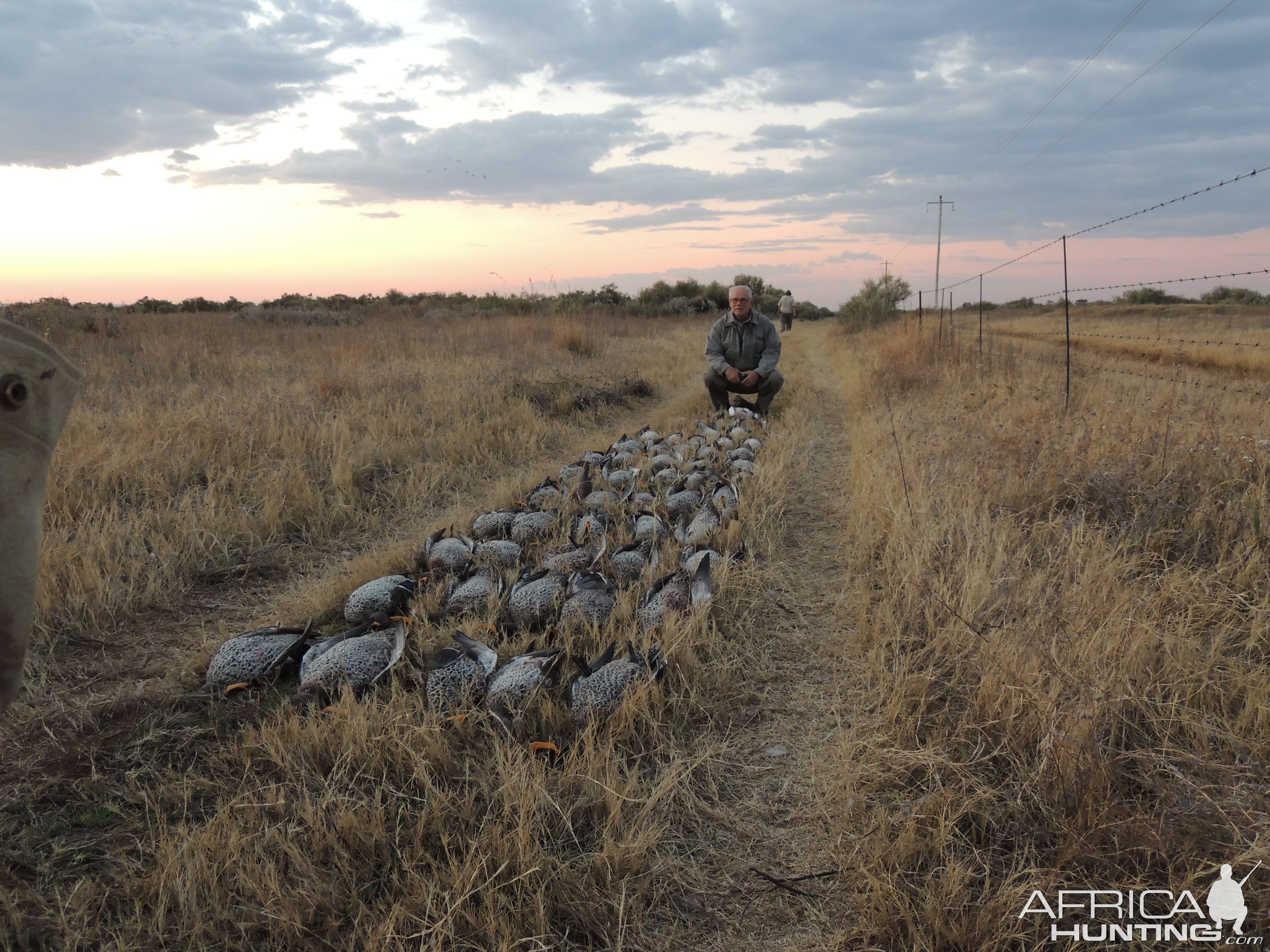 A GREAT EVENING SHOOT