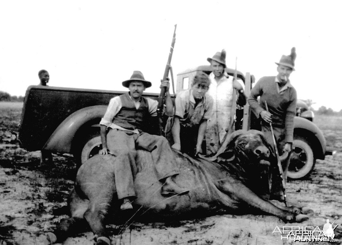 A hunting party with a buffalo