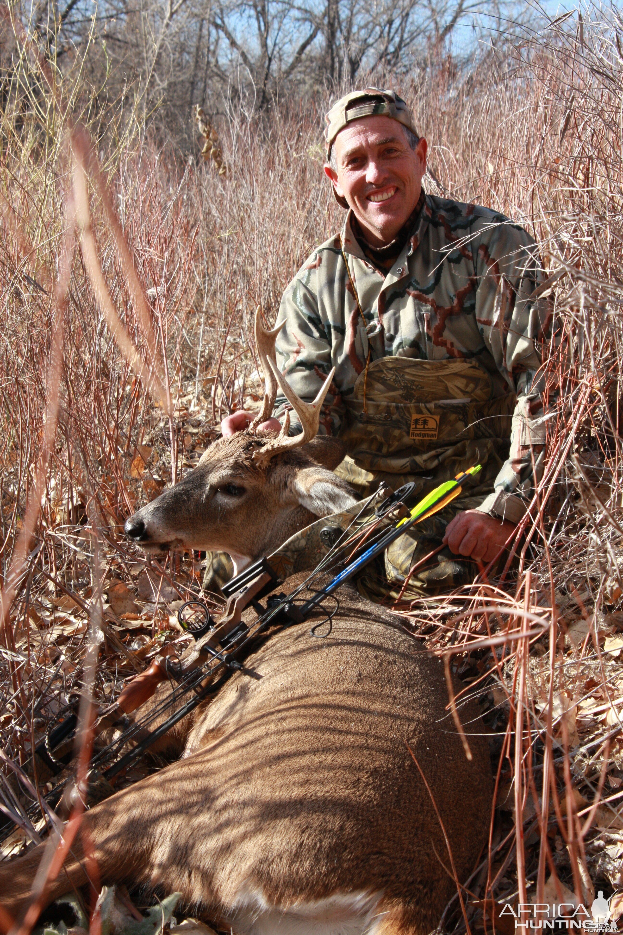 A rare Colorado frontrange White-tailed deer