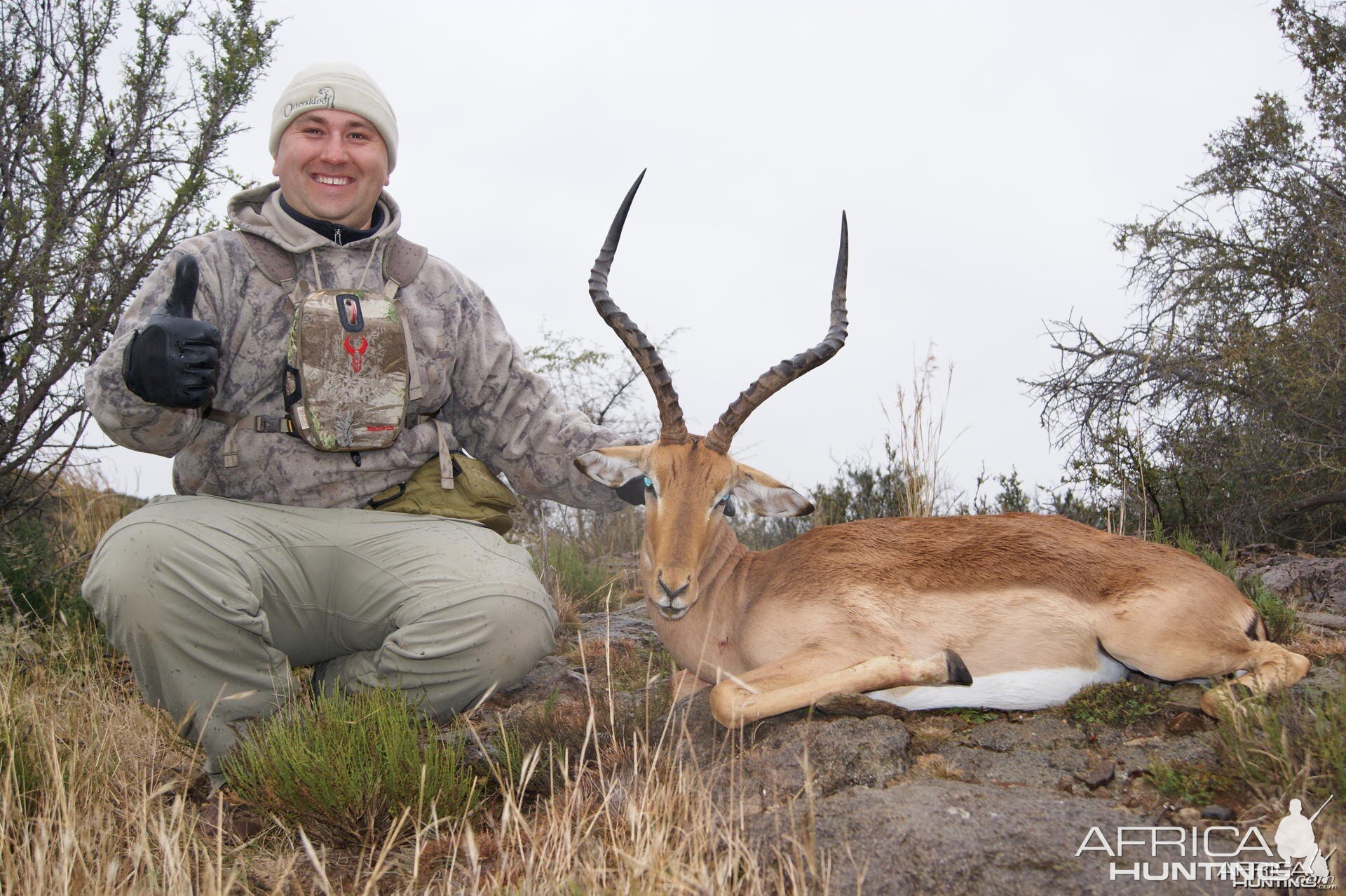 A Safari isn't complete without a impala