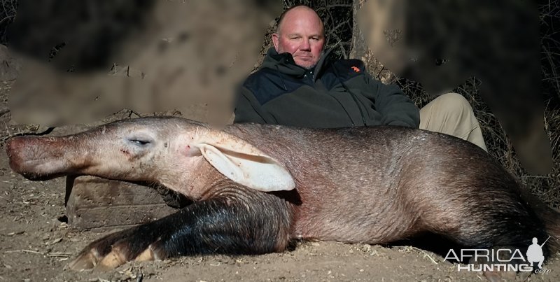 Aardvark Hunt Eastern Cape South Africa