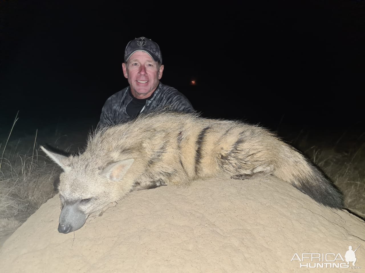 Aardwolf Hunt South Africa