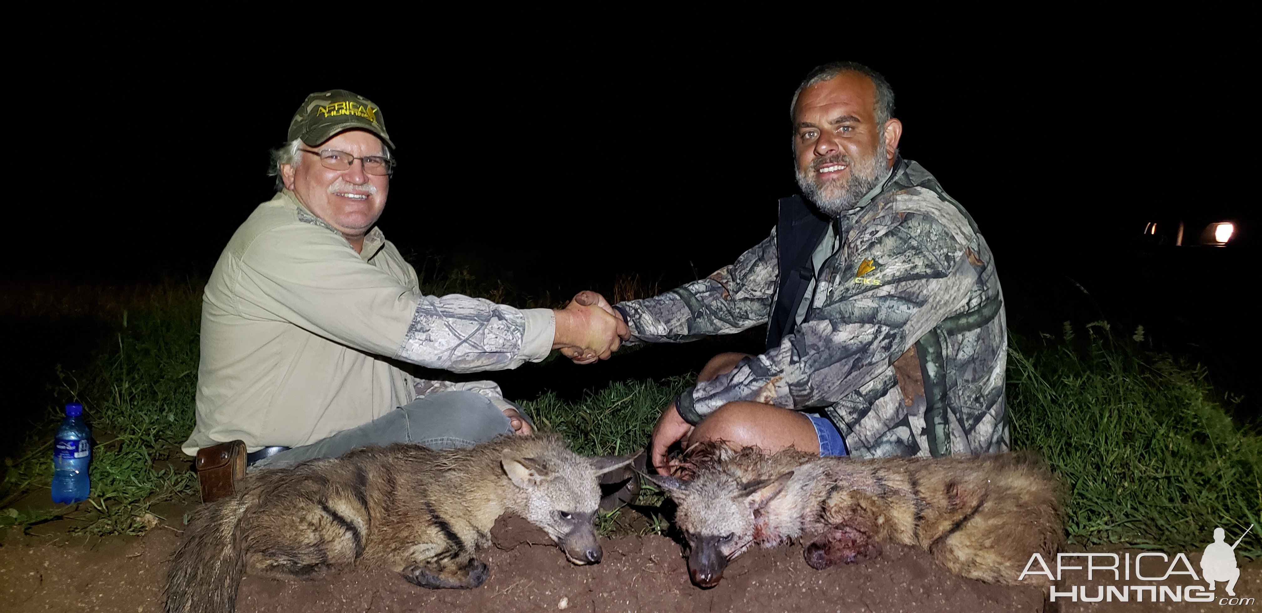 Aardwolf Hunting