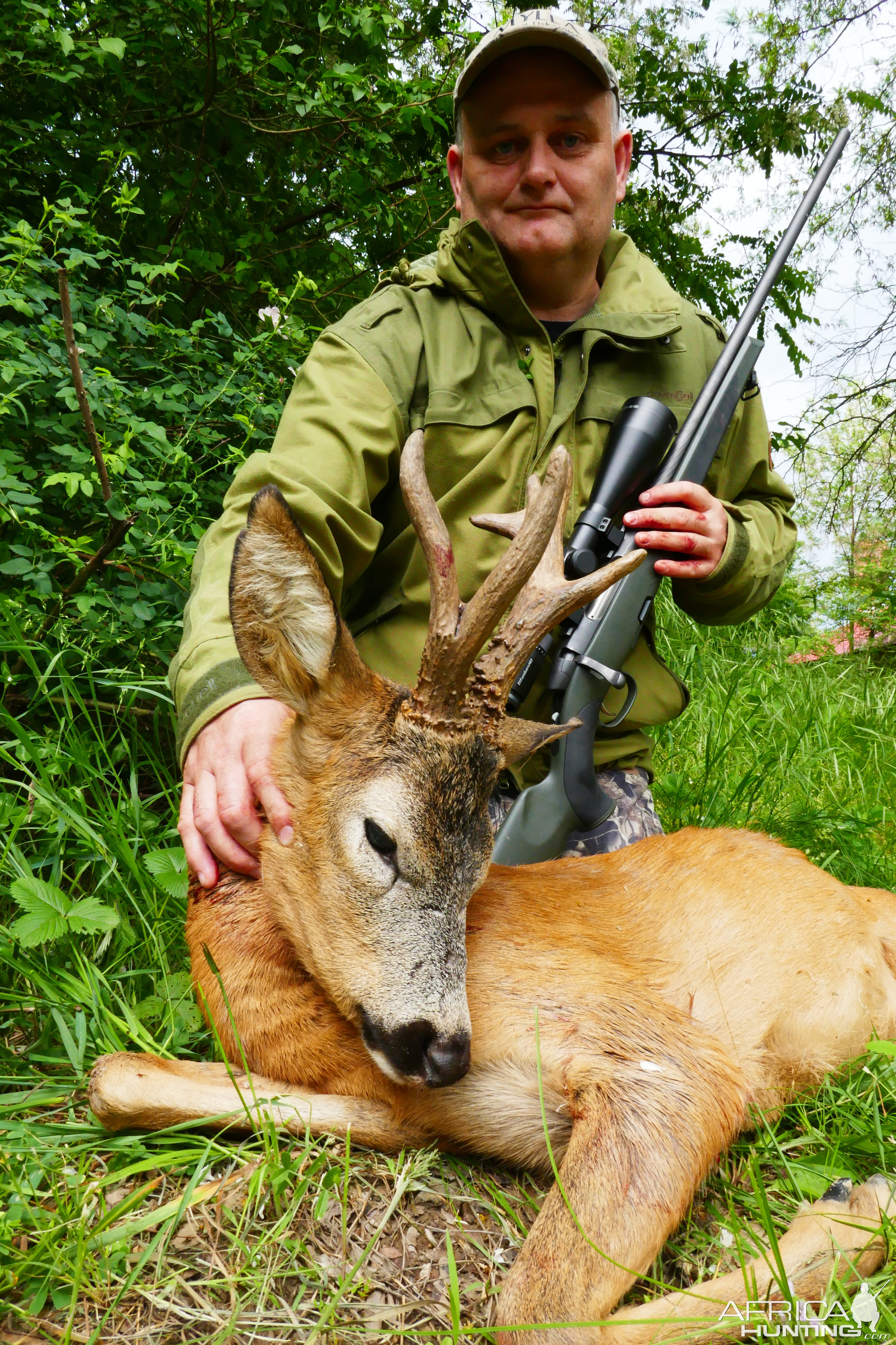 Abnormal roe buck