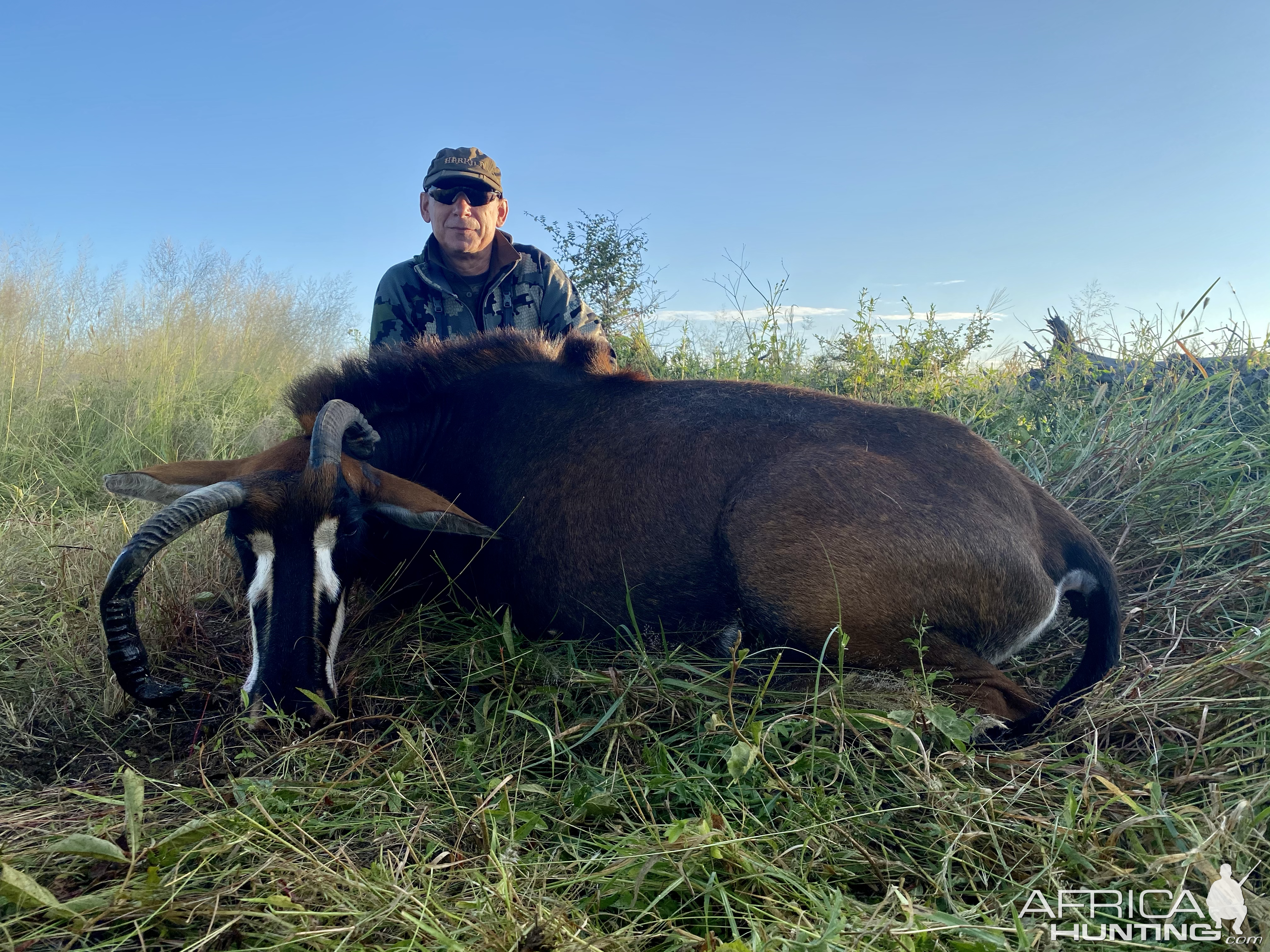 Abnormal Sable Hunt Namibia