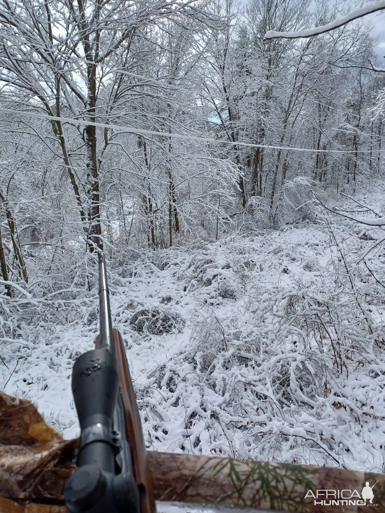 Adirondack Scenery