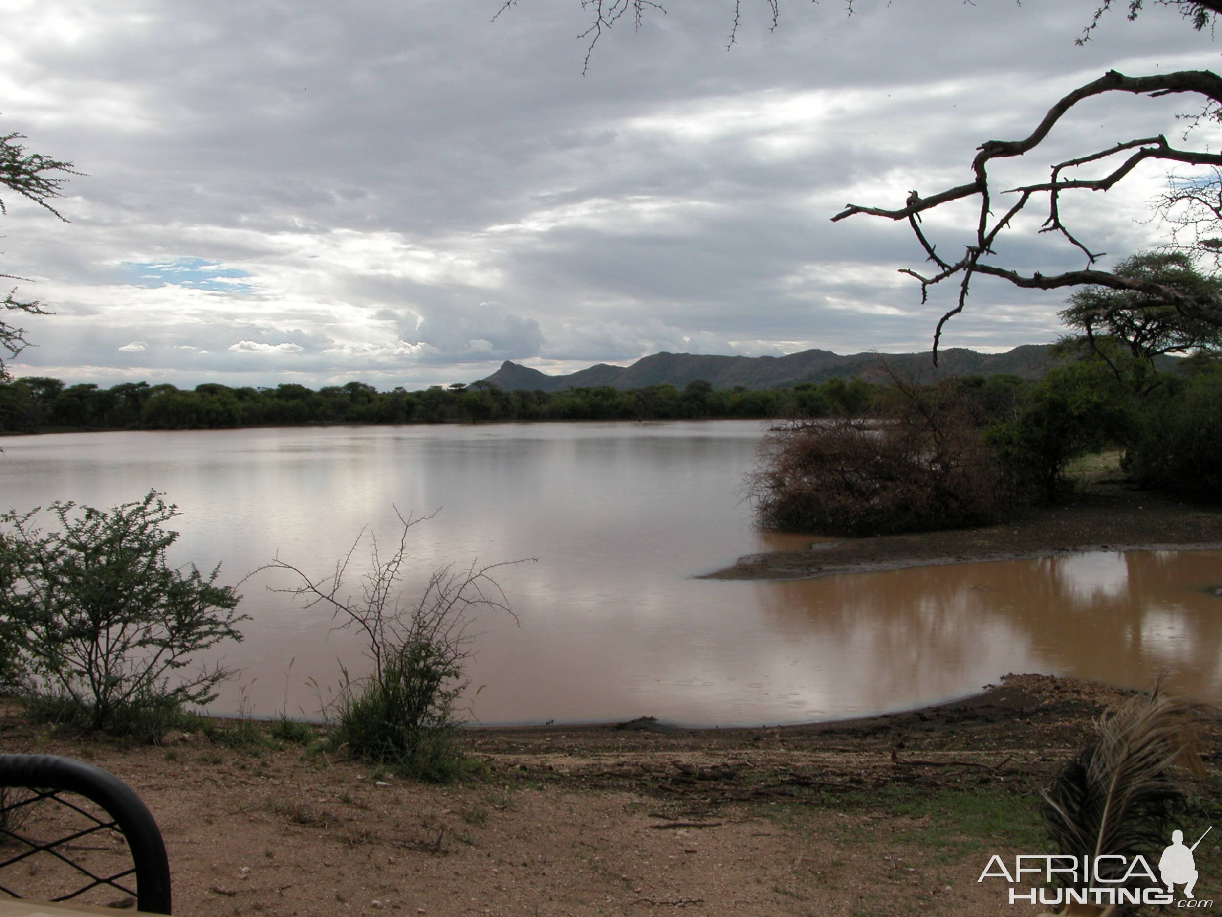 Africa Namibia Waterhole