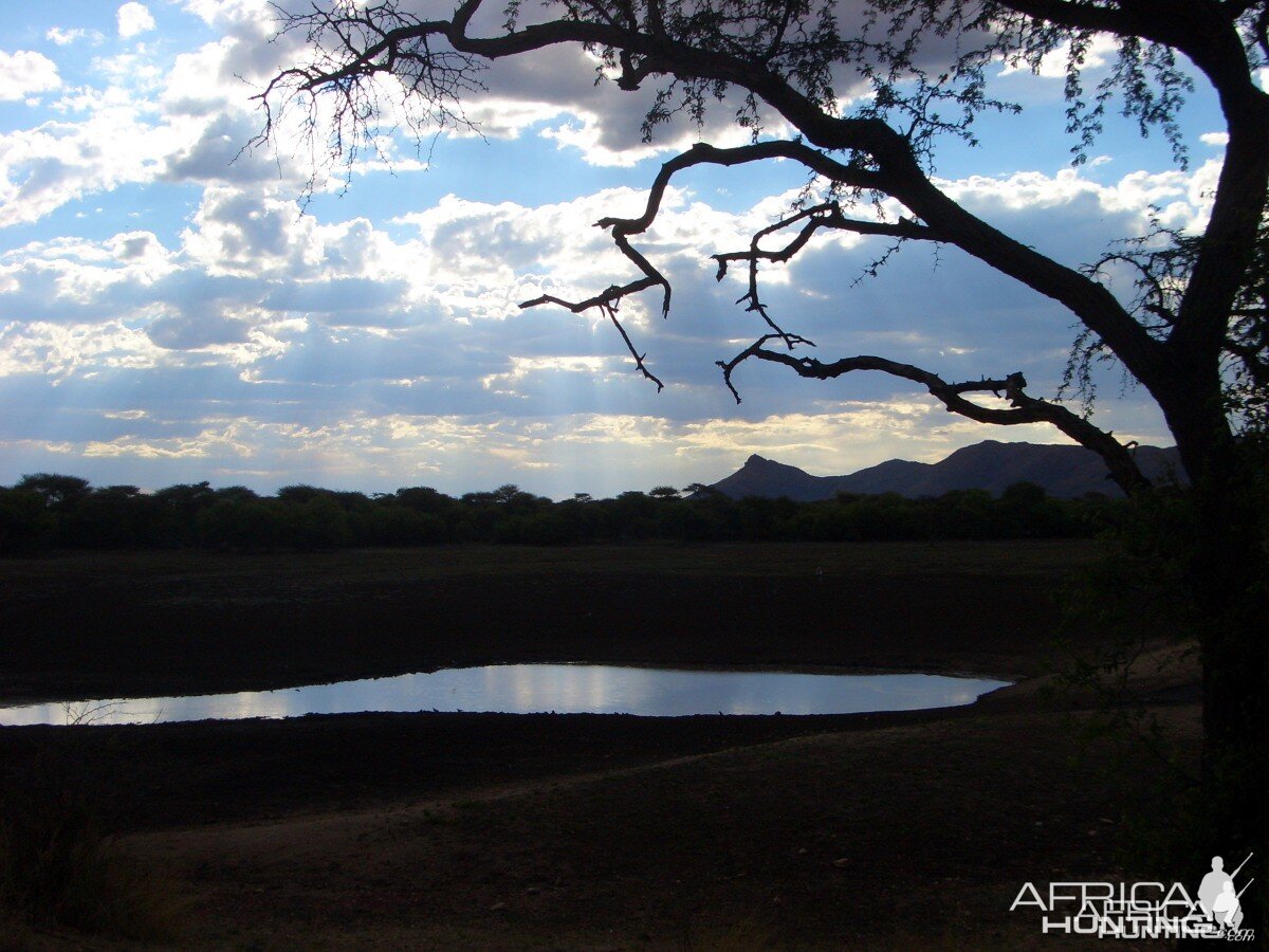 Africa Namibia Waterhole