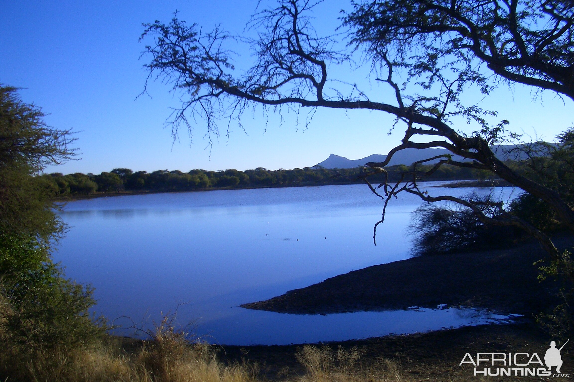 Africa Namibia Waterhole