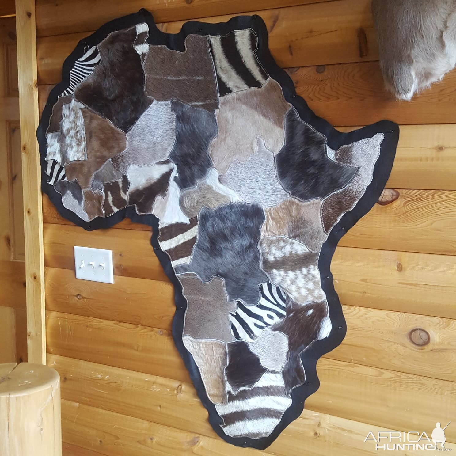 Africa Skin Patchwork Taxidermy