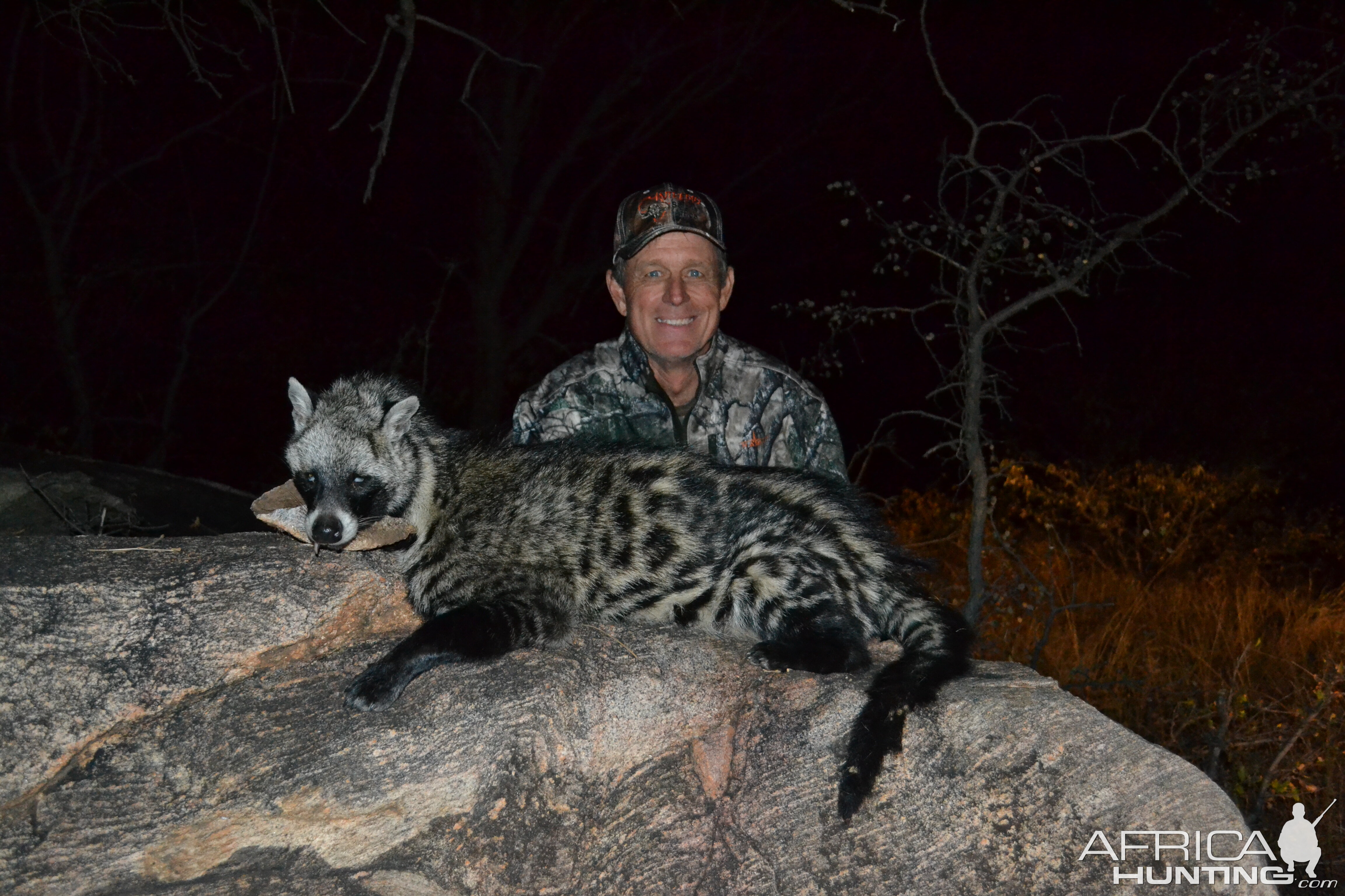 African Civet Cat Hunting in South Africa