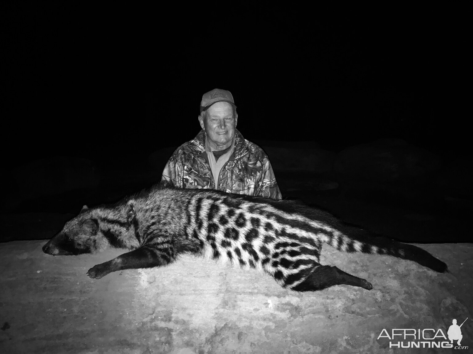 African Civet Cat Hunting South Africa