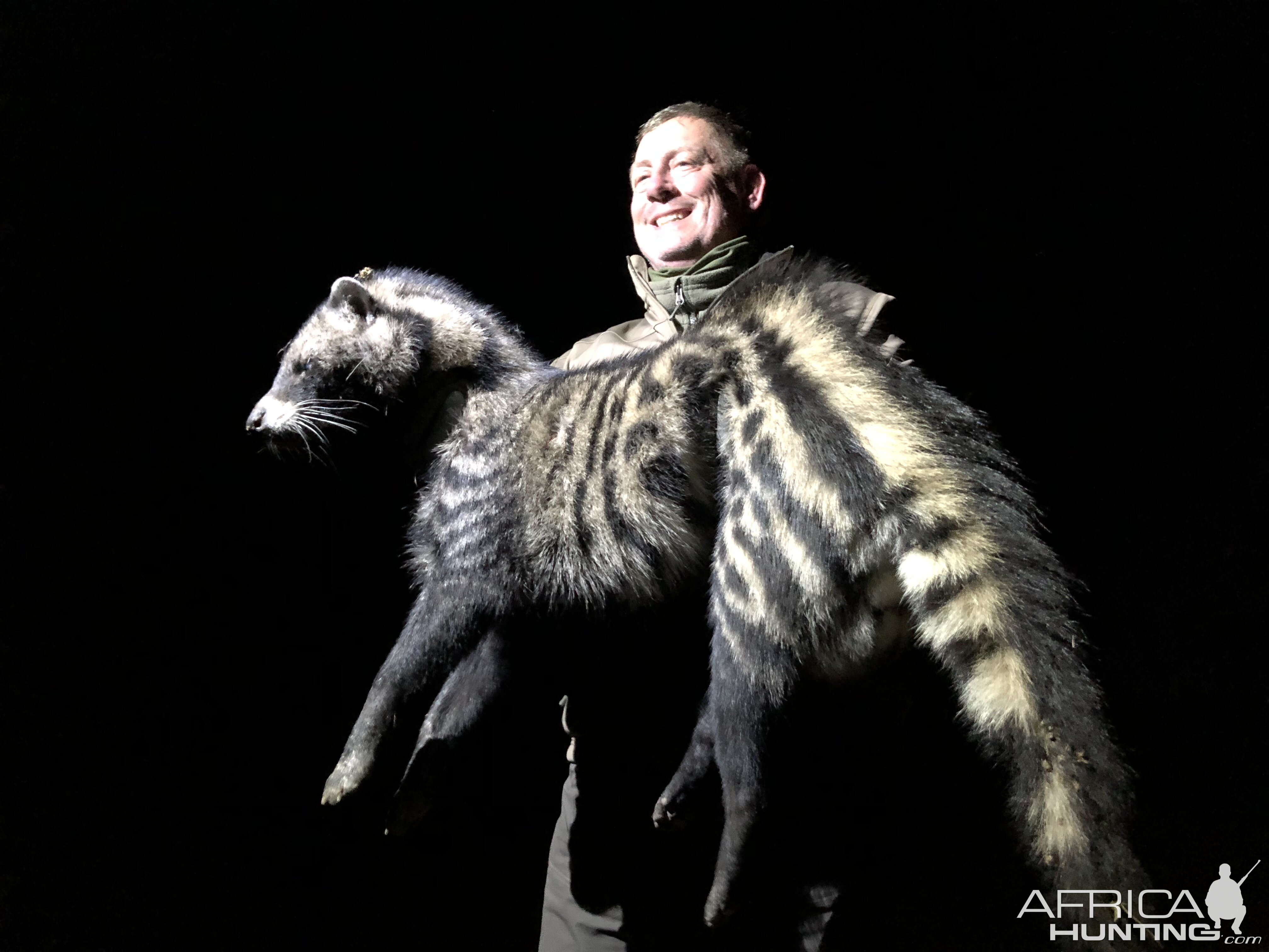 African Civet Hunt Zimbabwe