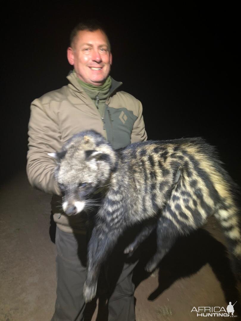 African Civet Hunting in Zimbabwe