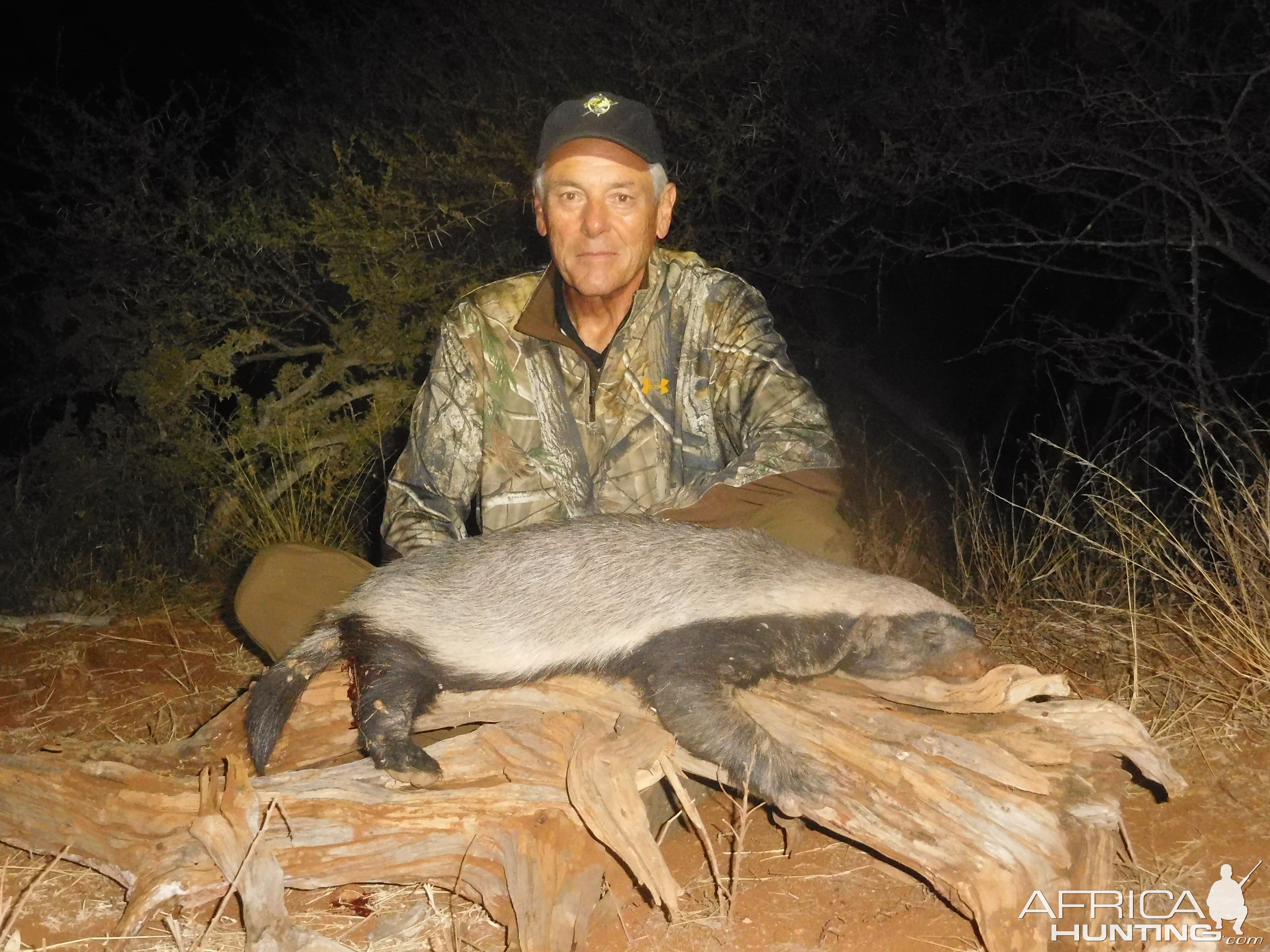 African Honey Badger Hunt South Africa