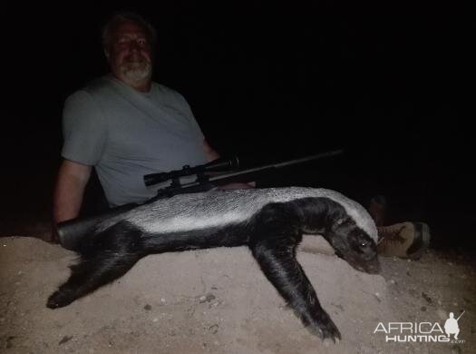 African Honey Badger Sunset Safaris