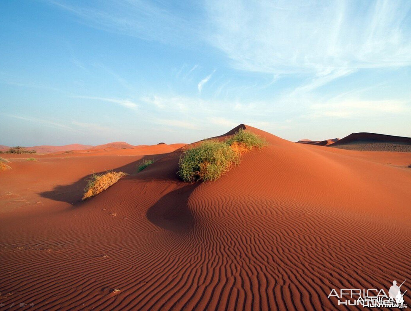 African landscape Dunes