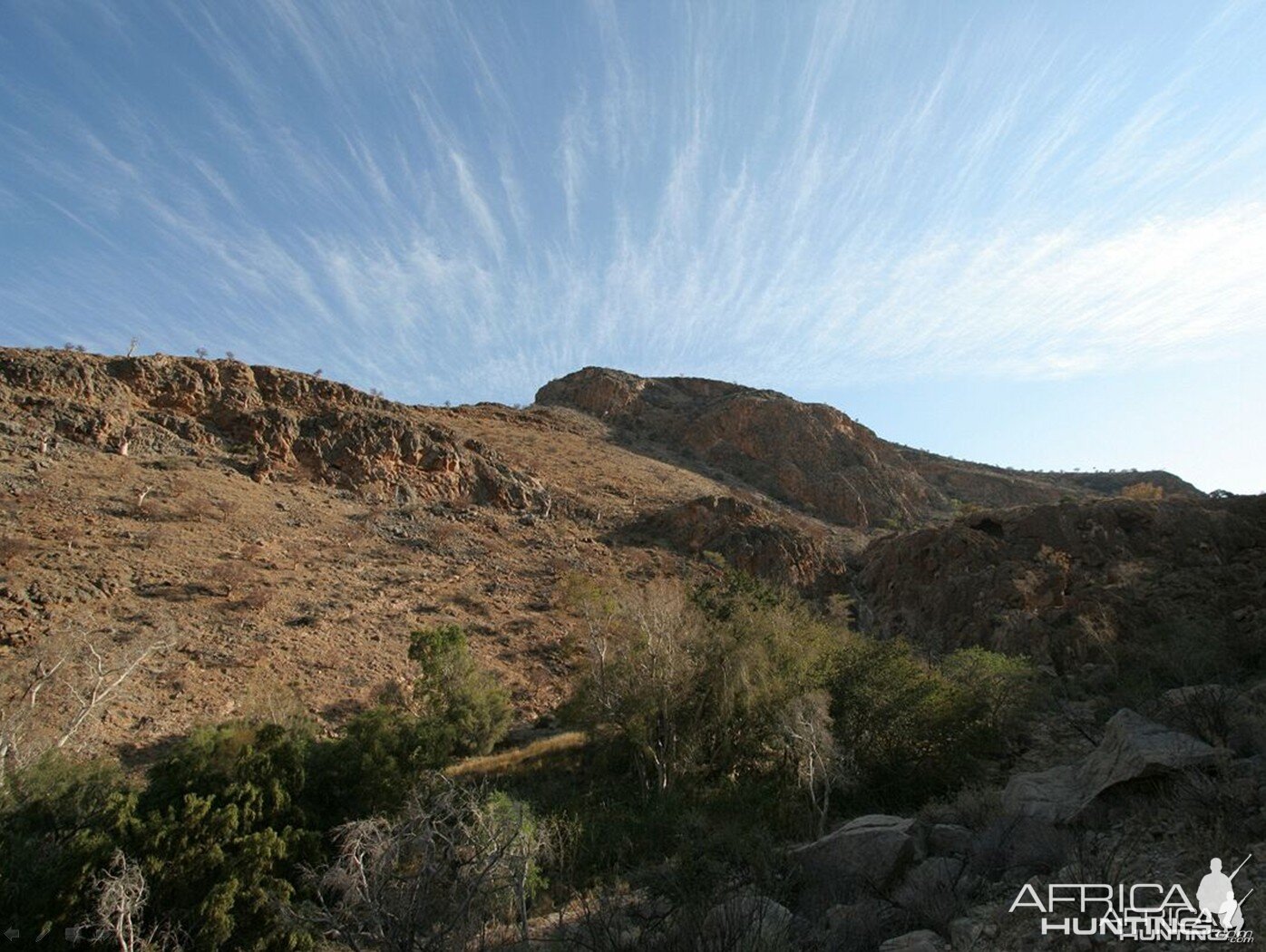 African landscape