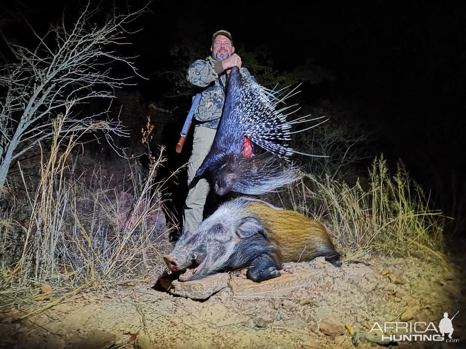 African Porcupine & Bushpig Hunt South Africa