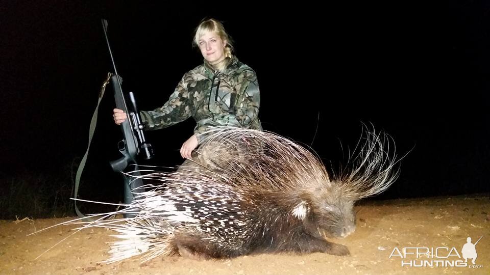 African Porcupine Hunt South Africa