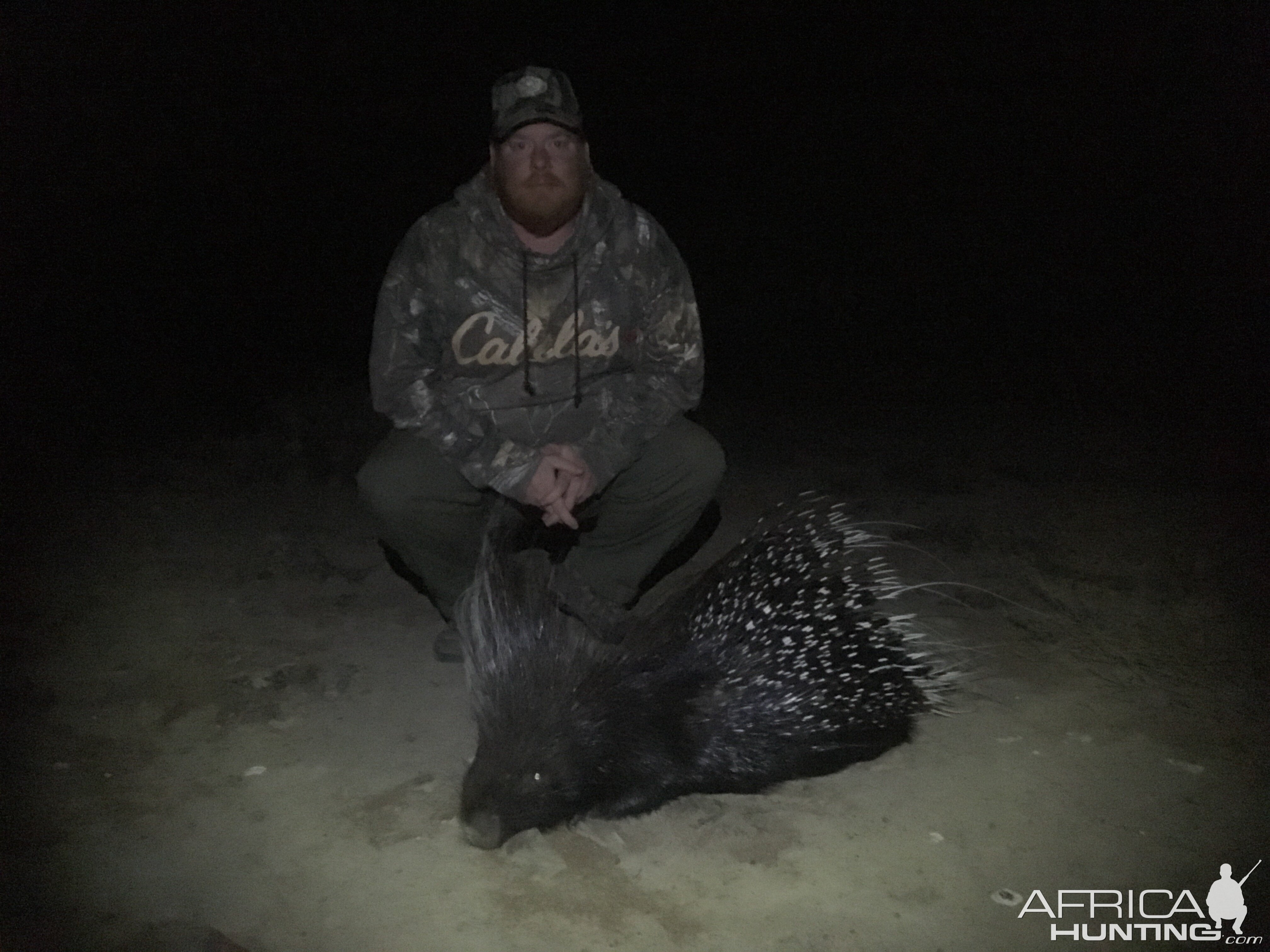 African Porcupine Hunt