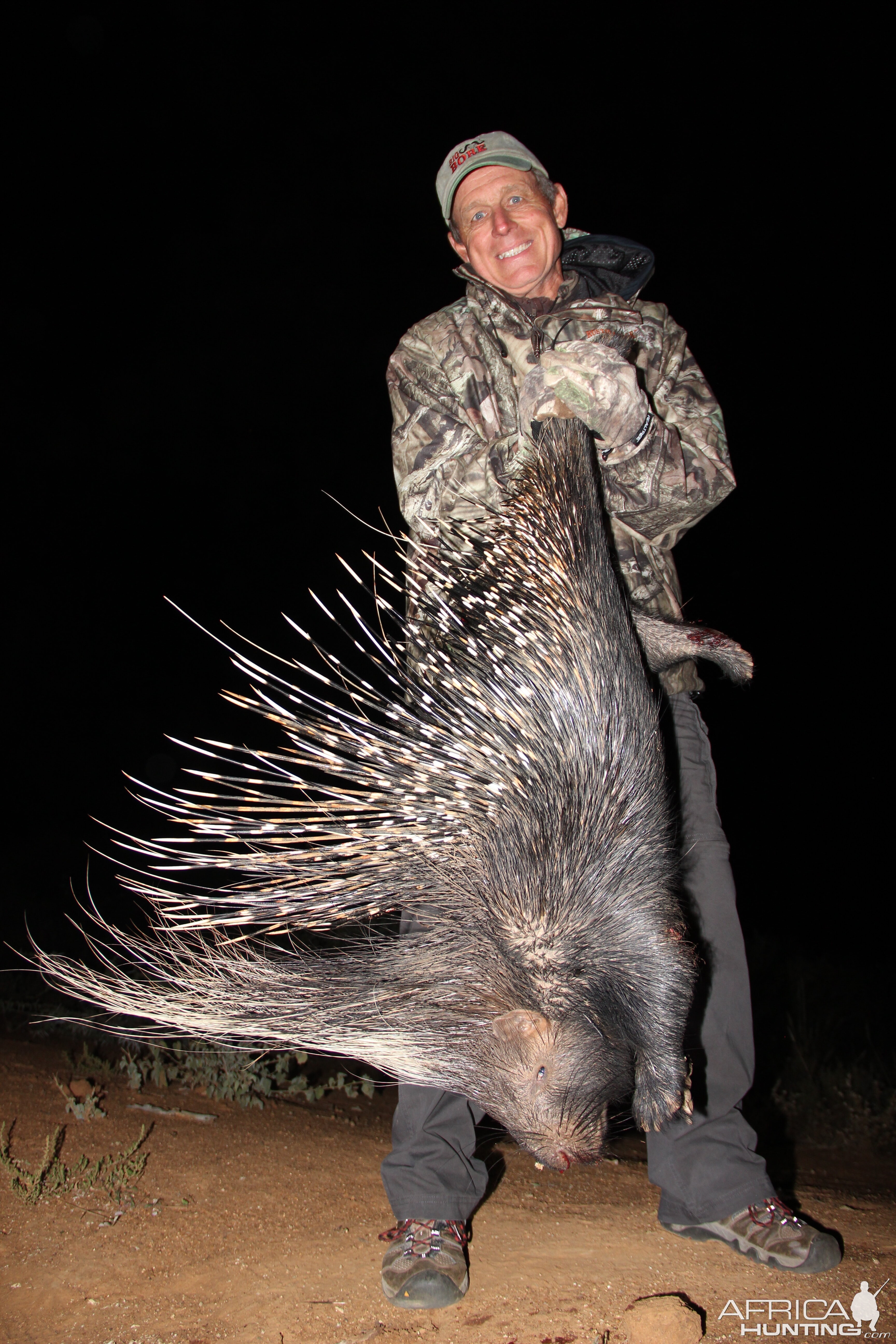 African Porcupine Hunting in South Africa