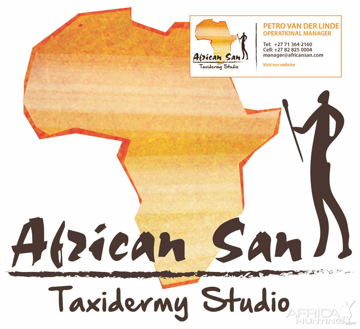 African San Taxidermy Studio