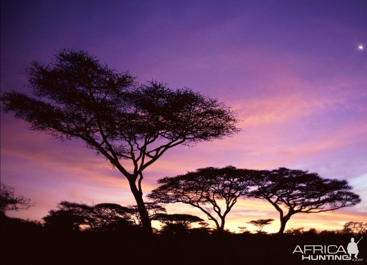 African Sunset