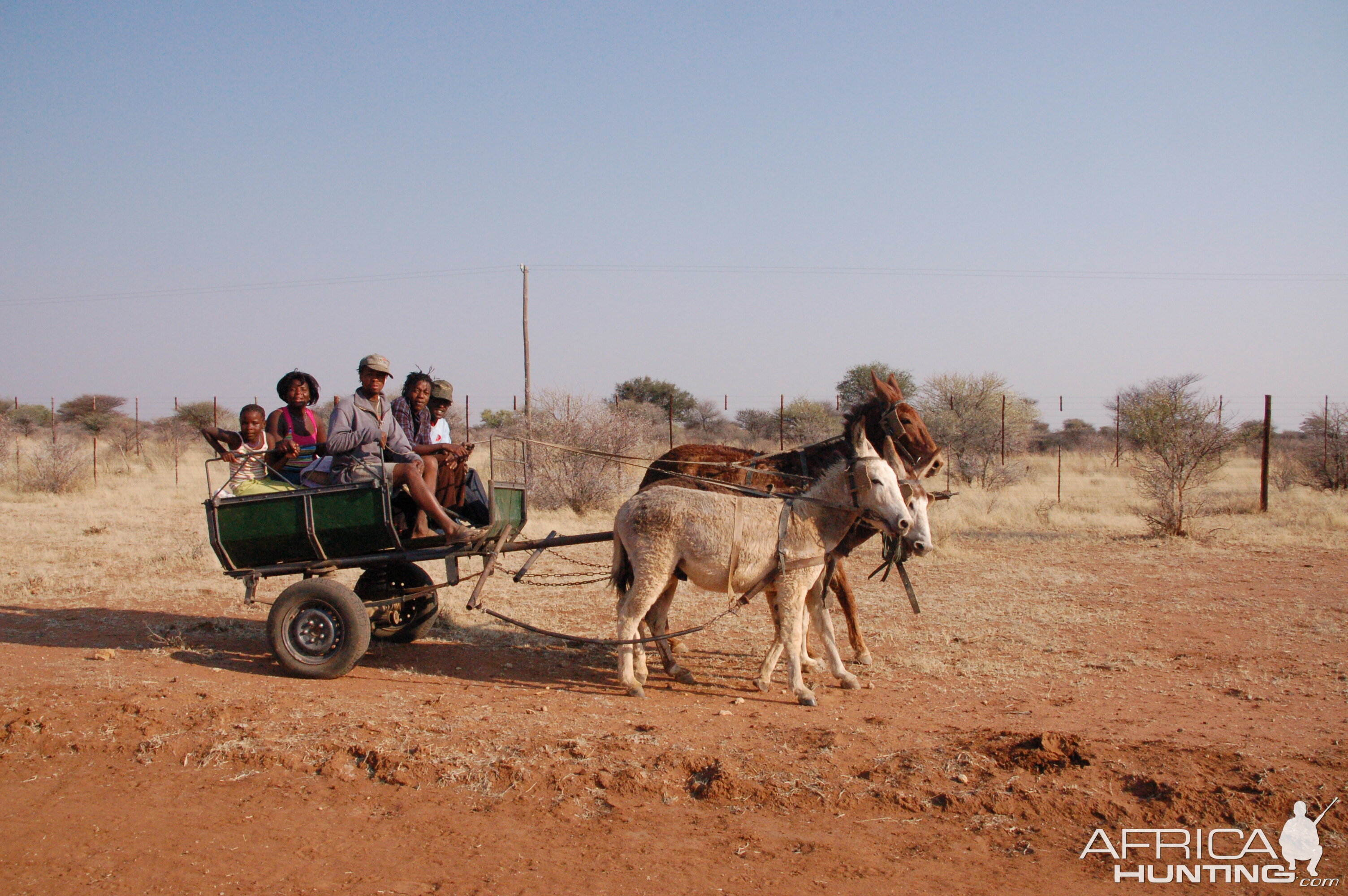 African Travel