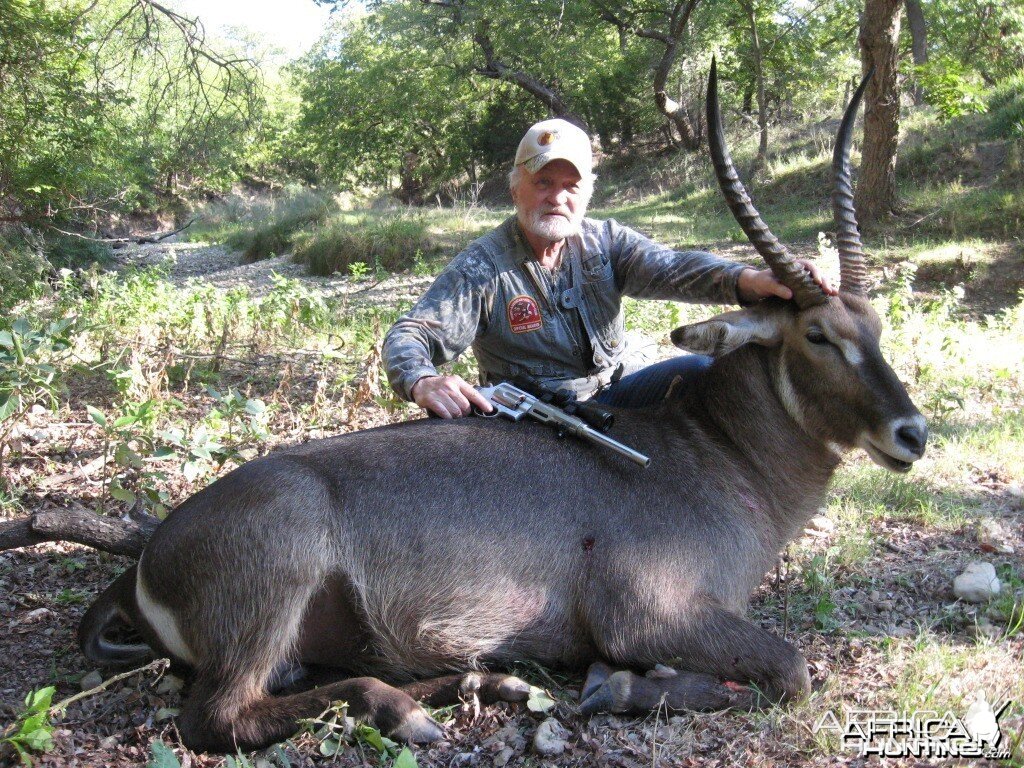 african waterbuck