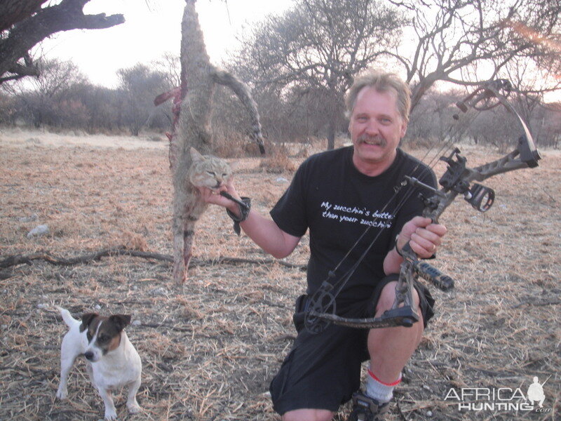 African Wildcat Bow Hunt Namibia